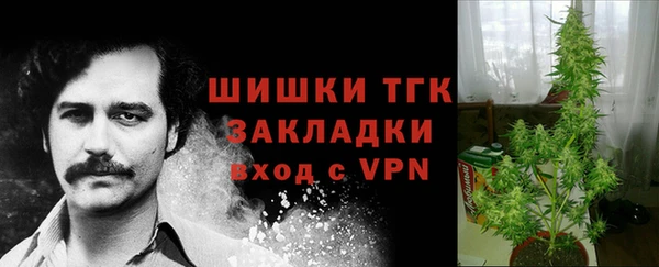 метадон Белокуриха