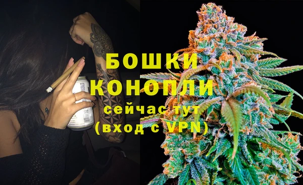 метадон Белокуриха