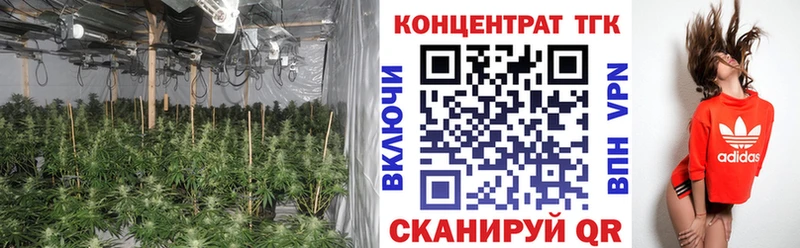 купить   Обь  ТГК гашишное масло 